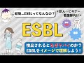 【ちゃんと理解してる?】ESBLをイメージで理解して、危険な理由を2つだけ覚えよう!