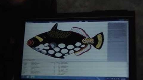 Develop Multi Touch Applications using Embarcadero RAD Studio 2010
