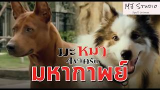 มหากาพย์ จักรวาลน้องหมาสุดรัก สปอยหนัง-เก่า มะหมา 4 ขา ครับ ภาค1-2