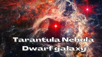 James Webb Telescope captures a large Tarantula Nebula Magellanic Cloud dwarf galaxy