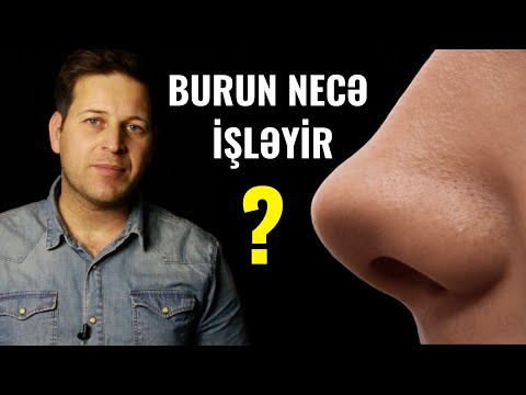 Video: Təsəvvür necə işləyir?