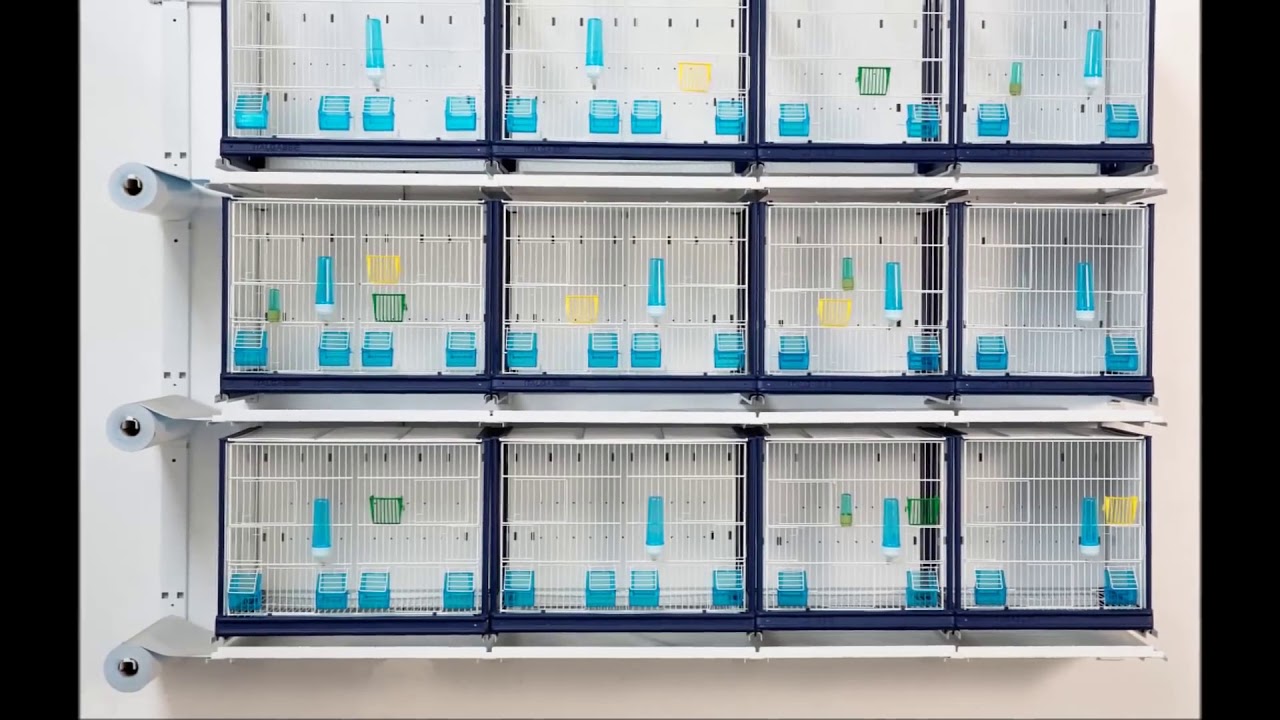 Italgabbie.fr - Catalogue des Produits