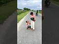 Top Inline Skating Fails You Can't Miss🤗#viral#inlineskating#comedy#skater#roadskating#shoets