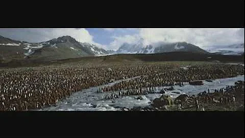 Photographer Tom Mangelsen talks about The Natural World