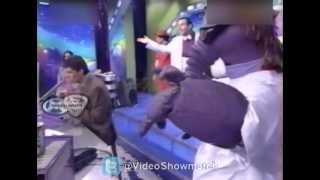 El Oso Arturo A Las Trompadas Con El Bingo Lavalle1999