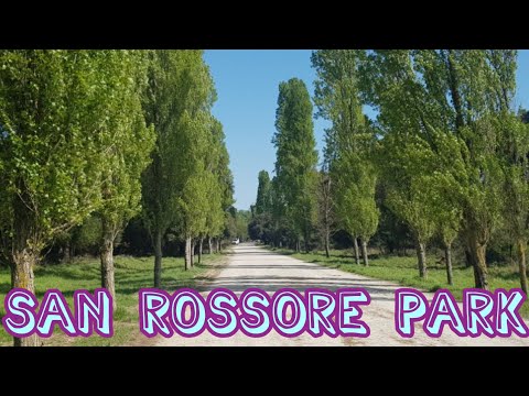 Video: Parco natural di San Rossore Massaciuccoli description and photos - Italy: Pisa
