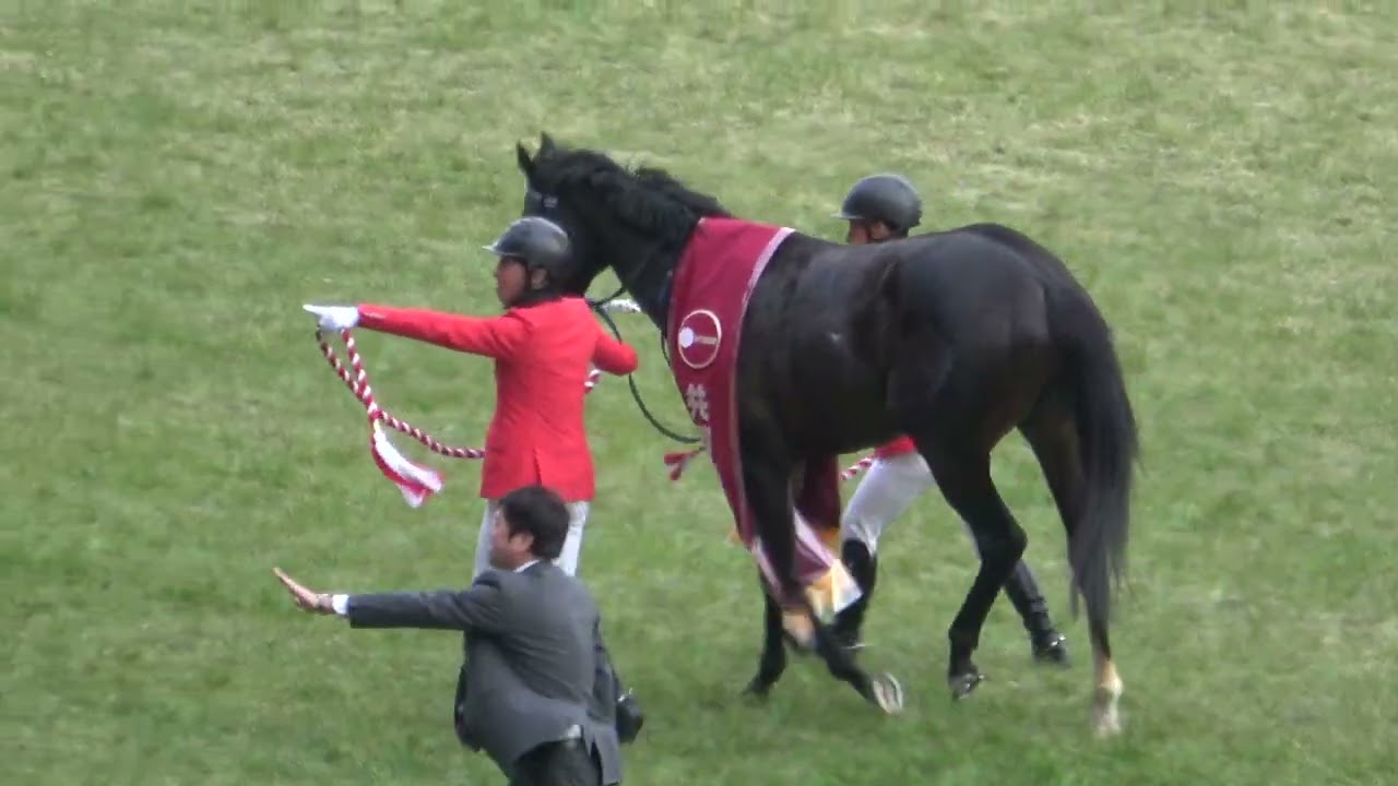 共同通信杯2025】やんちゃなマスカレードボール 口取りで落ち着かない