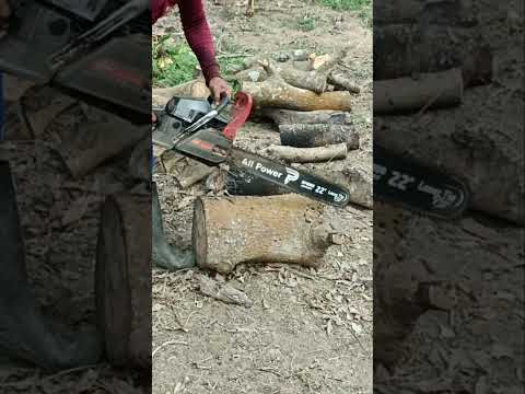 Chainsaw mini 2