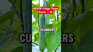 NEVER Put These 6 Foods in the Fridge 😱 (Most People Don’t Know This!) #shorts