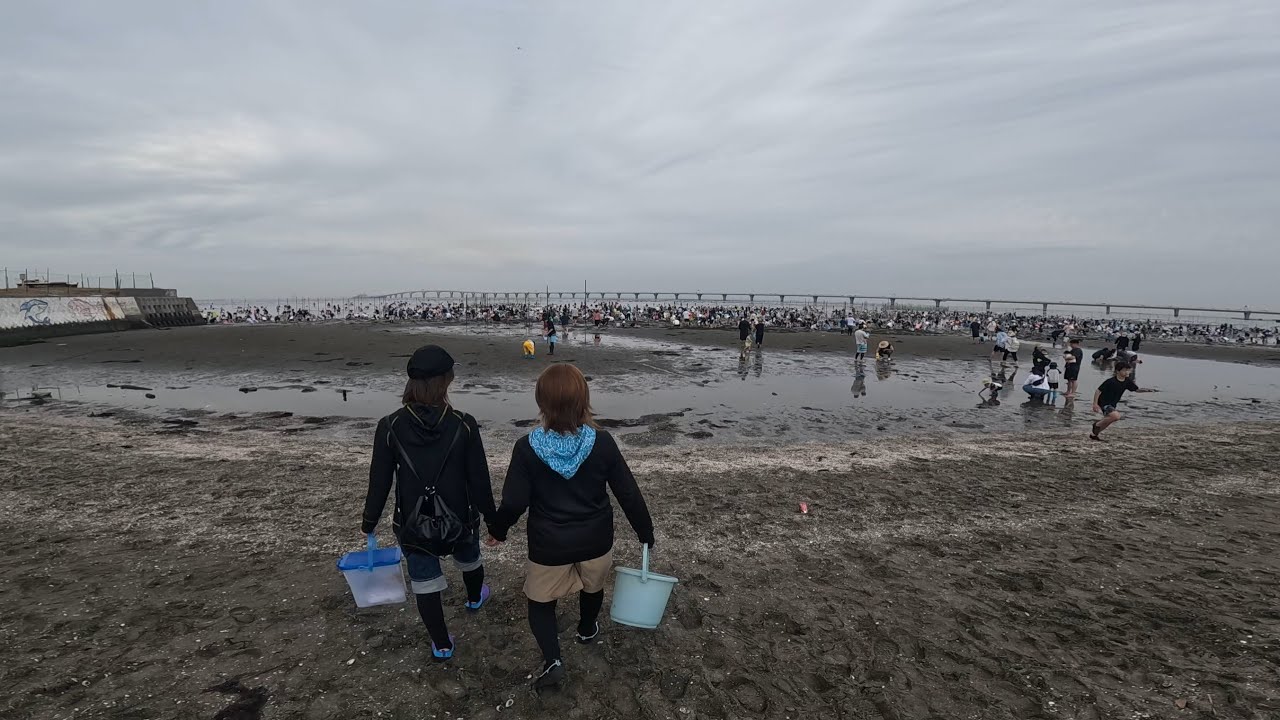 潮干狩り 木更津金田みたて海岸 ￼Kisarazu Kaneda beach May.2026