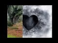 lo mejor de la salsa romantica