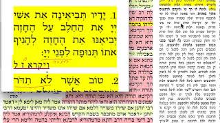 מנחות פא 81 שלישי כ״א חשון תשע״ט