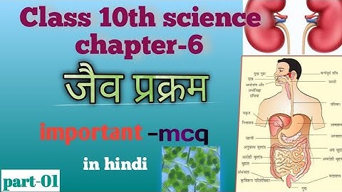 Class 10th science chapter-6 जैव प्रक्रम l important mcq questions in hindi l part- 01