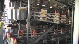 MCS 333 Video