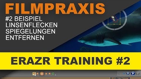 ProDAD ERAZR - Praxisbeispiel #2: Störende Objekte einfach aus Videoclips entfernen