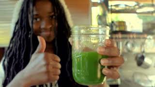 The Power of Ginkgo Therapy | Use Leaves for Juice or Tea | Order Today While Supplies Last!
