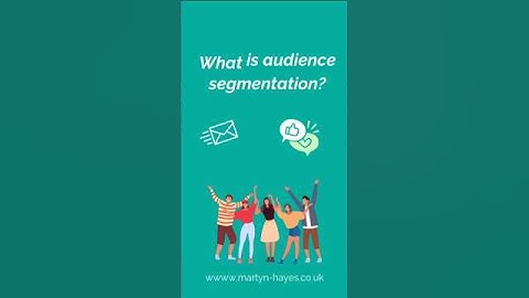 What is audience segmentation?