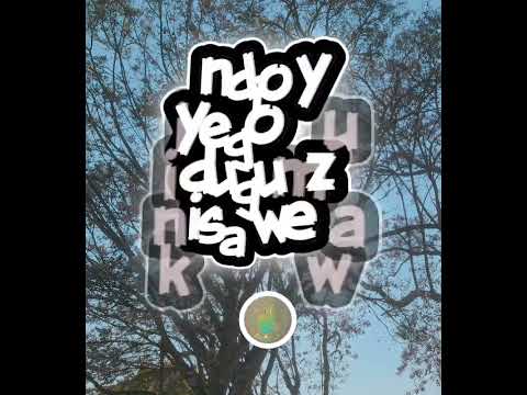 Diameter Ft Vanilla Kidampa Lyrics Video