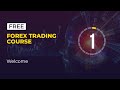 Introducing the Online Professional Forex Trading Course ...