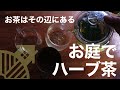 うちみるのくらし「お茶」Nov.2020