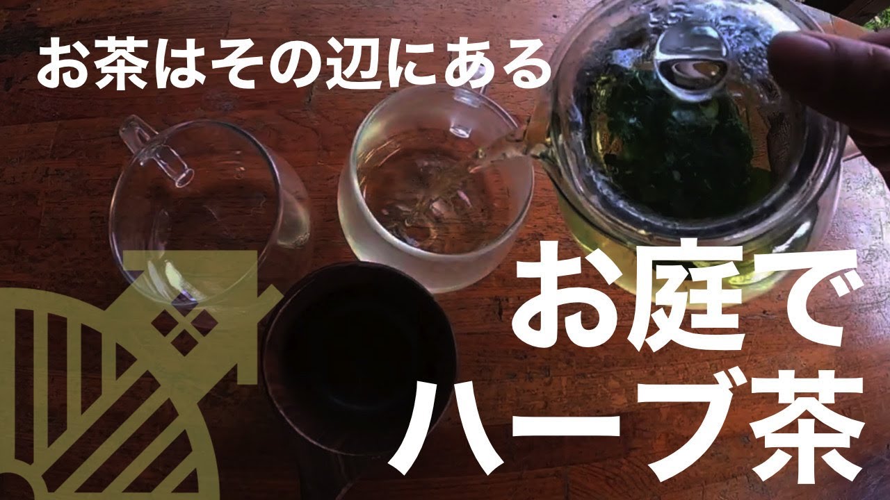 うちみるのくらし「お茶」Nov.2020