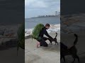 World's LONGEST barefoot journey! ????