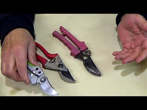 Как заточить садовые ножницы в домашних условиях видео
