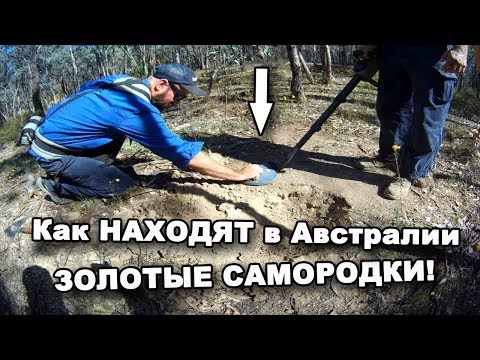 Как НАХОДЯТ в Австралии ЗОЛОТЫЕ САМОРОДКИ! В поисках сокровищ / In Search Of Treasures