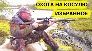 Охота на косулю. Избранное. Охотничьи приключения в Норвегии /NORDIC WILD HUNTER (Охотник и рыболов)