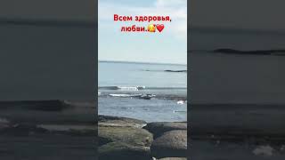 Дагестан. Каспийское море Всем здоровья и любви???❤️?