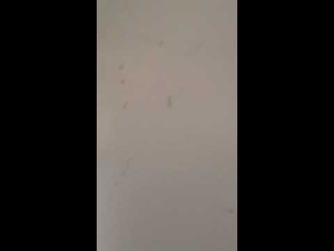 ولايه الانبار 