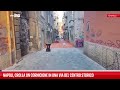 Napoli, crolla un cornicione nella via della movida