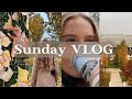 VLOG: Как проходит мой выходной осенью, уютная атмосфера♥︎