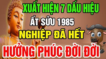 7 Dấu Hiệu Chứng Tỏ Tuổi Ất Sửu 1985 Đã Trả Hết Nghiệp, Được Trời Thương Phật Độ, Sướng Cả Đời