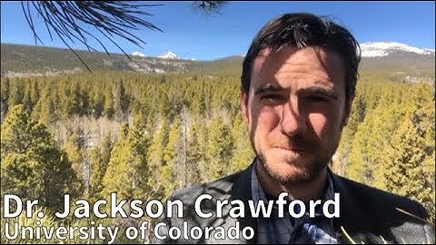 Old Norse and the Modern Scandinavian Languages