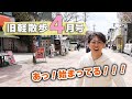 【春になりました!】4月上旬の旧軽井沢はどんな様子?地元民がお散歩しながら見どころを解説します!