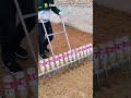👩🌾 Seed Sowing with Bottles | Unique Rural Farming Hack#shortsfeed #agriculture #shorts
