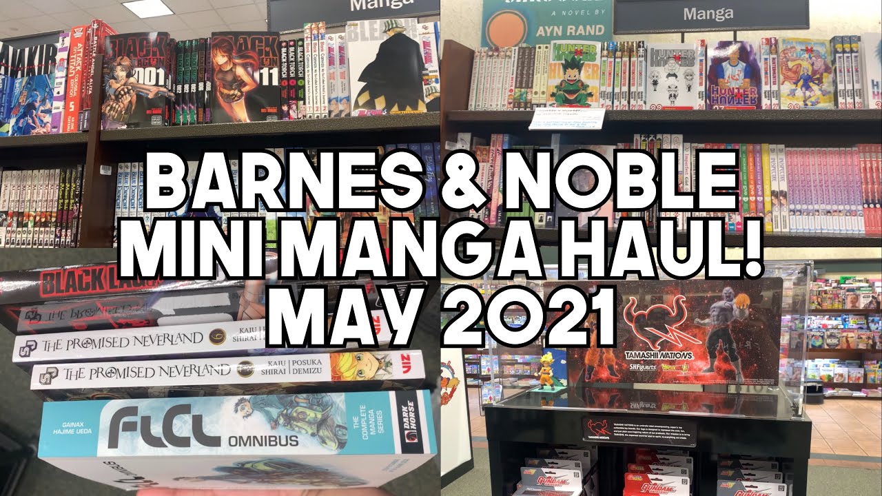 Mini Manga Haul At Barnes Noble May 21 Youtube