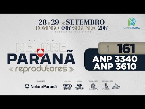 LOTE   161 ANP 3340 3610
