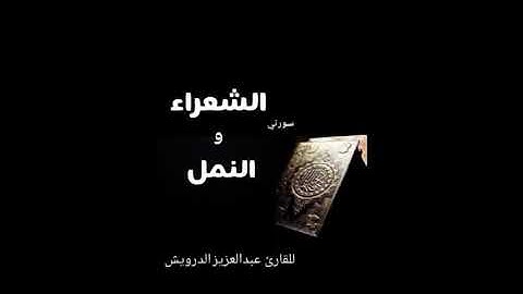 سورتي  الشعراء والنمل ..  للقارئ .  عبدالعزيز الدرويش