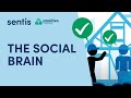 The social brain