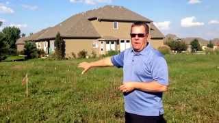 Episode #2 - Staked Lot