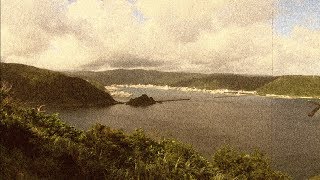 【現地レポート】奄美大島に数千人の中国人観光客を乗せたクルーズ船寄港計画が進行中！ 住民の不安の声を緊急レポート【ザ・ファクトREPORT】