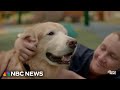 Teen and therapy dog beat cancer together