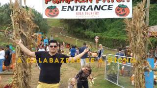 Kula Pumpkin Patch