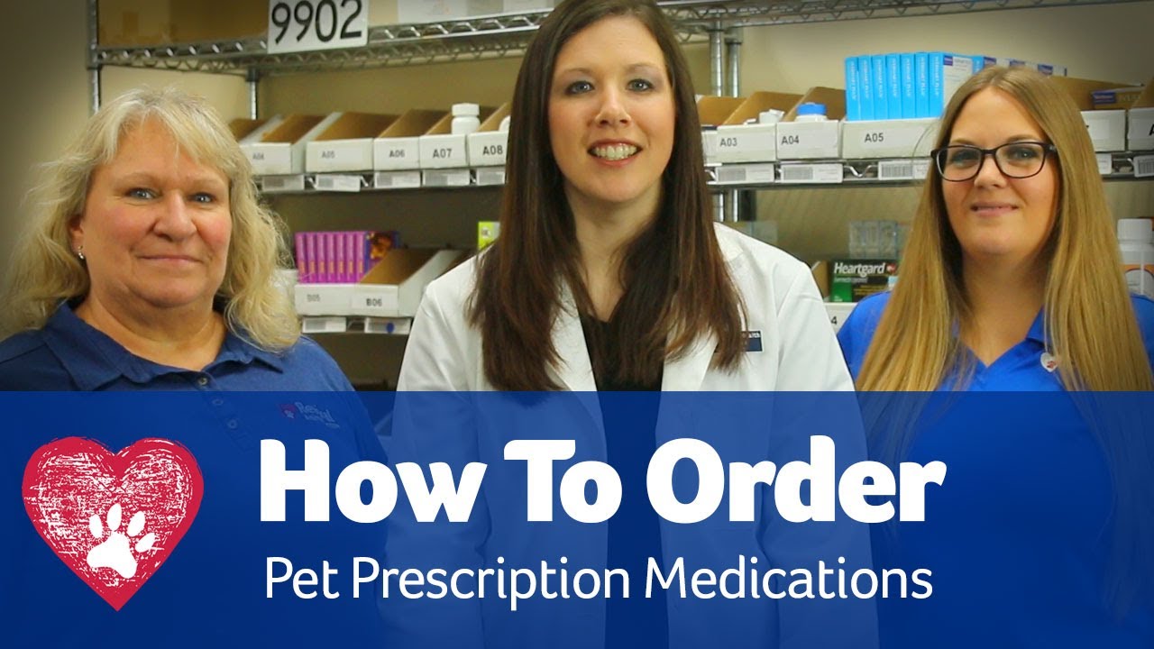 How To Order Your Pet Medicine YouTube