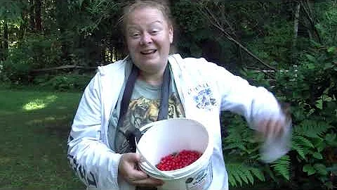 Bobbie-Gene picks huckleberries!!