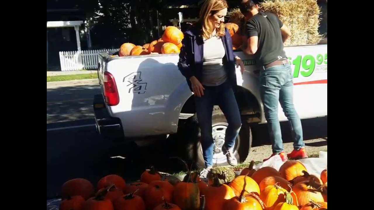 O'Brien Living: Urban Pumpkin Truck Halloween 2017