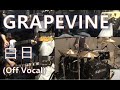 GRAPEVINE 白日 [全パート弾いてみた](歌なし)