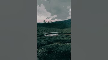 video colour grading #vn #colourgrading #edit